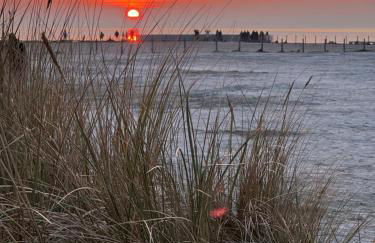 Haus Juist-Norddeich - Foto 31