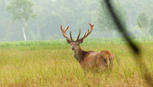 Ferienwohnungen Strandweg 6 - Foto 4