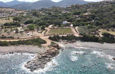 La PAVONCELLA 2 - Foto 23