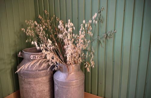 Ferienwohnungen Nimtz - Foto 18