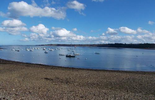 Les hortensias - Foto 31