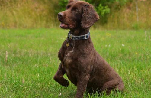 3 Bed in Monmouth oc-52149 - Foto 19