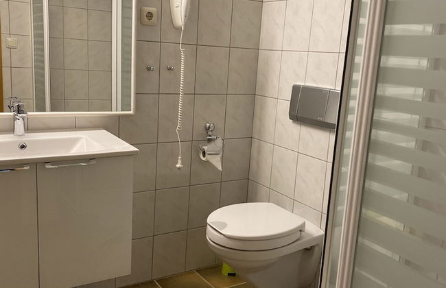 Ferienwohnungen Elsterblick - Foto 15