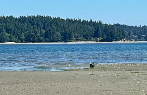 Mintercreek Cabin - Foto 32