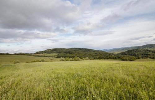 Agroturystyka Pawlikówka - Foto 58