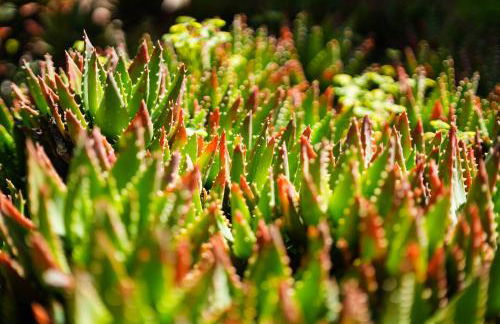 Casa Sonny - Foto 40