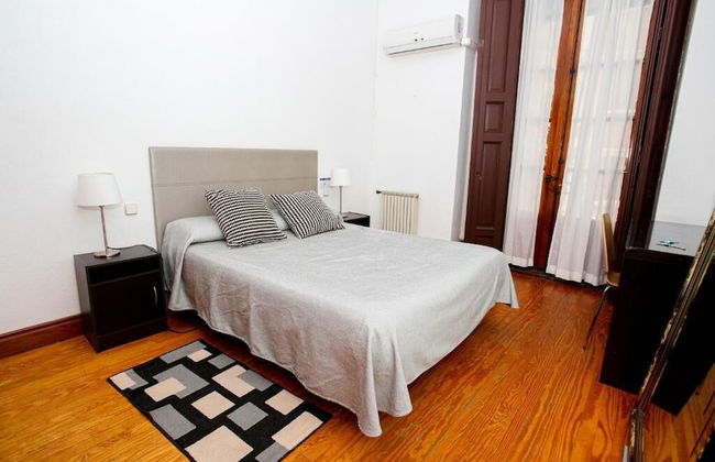 LOFTS Puerta del SOL - Photo 10