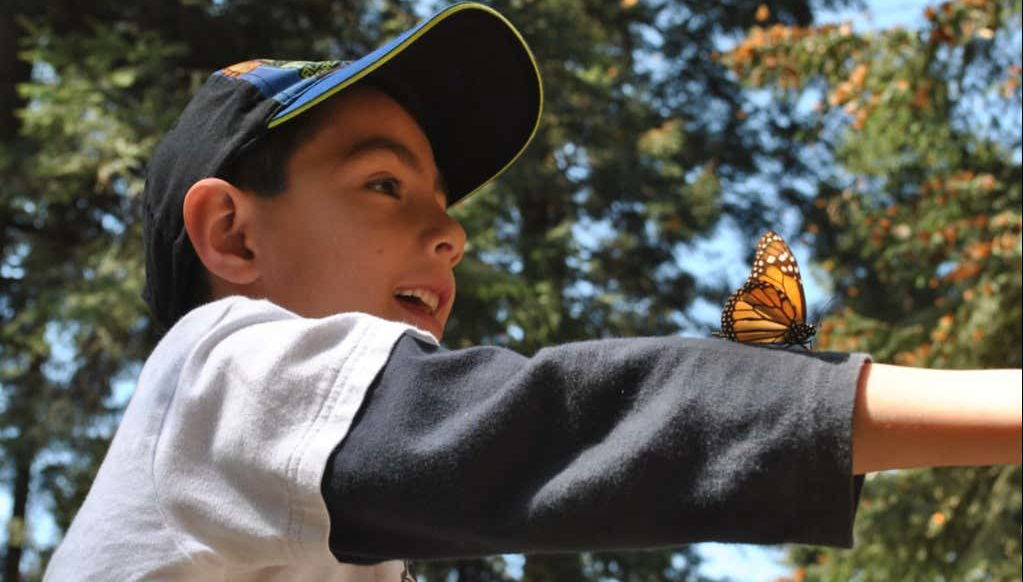 Disfrutando del entorno de las mariposas