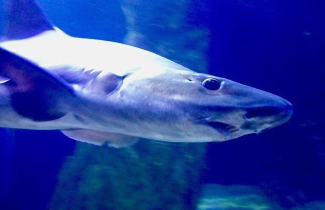 Casa Gianni Cala Gonone Mare - Photo 22