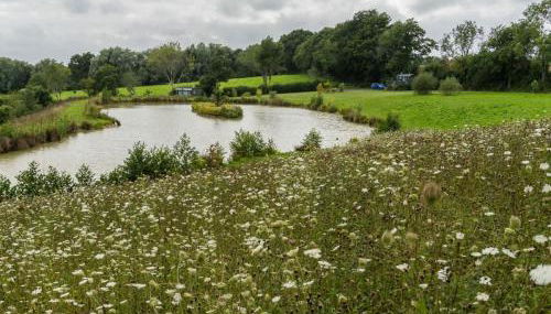 Peaceful ensuite lakeside cabin 'Tench' - Foto 4