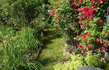 WÄLDER: Quartier Haus im Glück - Foto 22