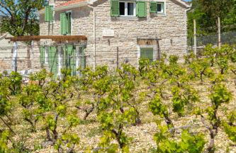 Villa Cavalleria Rusticana with heated pool and vineyard - Photo 5