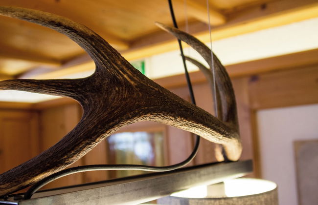 Landhaus Maurer - Foto 74