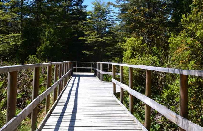 Visite privée de Puerto Varas, Nueva Braunau et Lahuen Ñadi - Photo 1