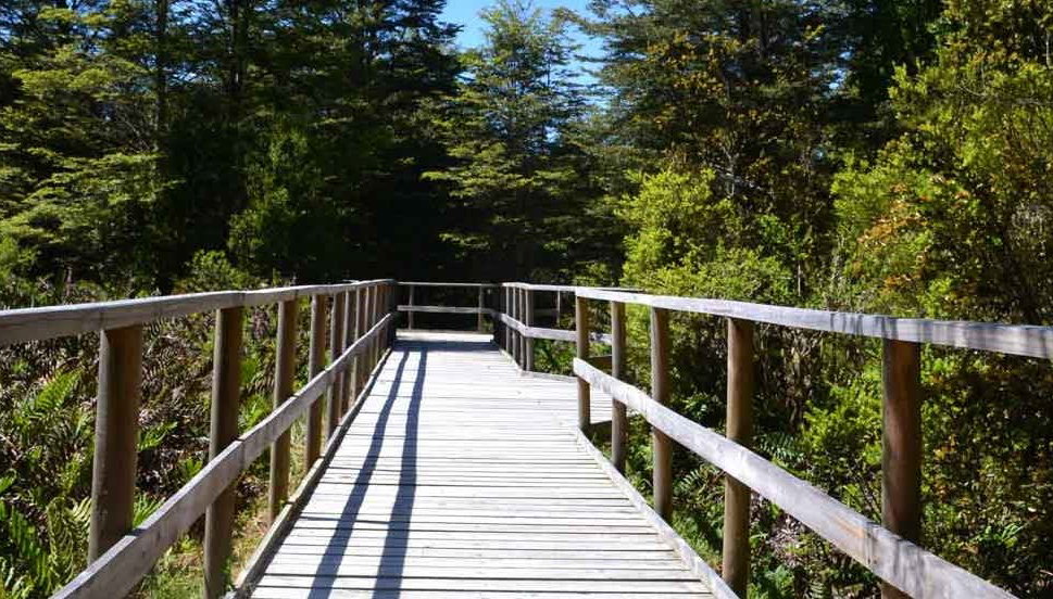 Puerto Varas, Nueva Braunau & Lahuen Ñadi Private Tour - Foto 1, Puerto Varas, Nueva Braunau & Lahuen Ñadi Private Tour