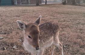 Agriturismo I Leprotti - Photo 7