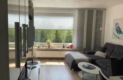 Fuchsenstein 44 - Foto 36