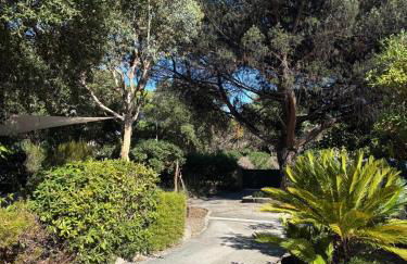 Maison Cigale Ramatuelle - Foto 35