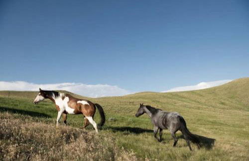 Saddlehorn Ranch - Foto 16