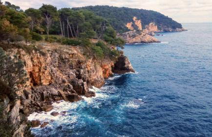 Apartment Iva&Andro - Foto 24