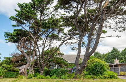 Beach Pines Bungalow by Avantstay Classic Cottage Steps to the Beach w/ Private Yard - Foto 45