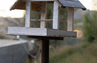 Chalé Canto dos Pássaros MG - Foto 17