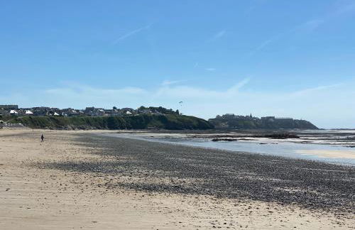 L Alouette by Icone Collection - Foto 42