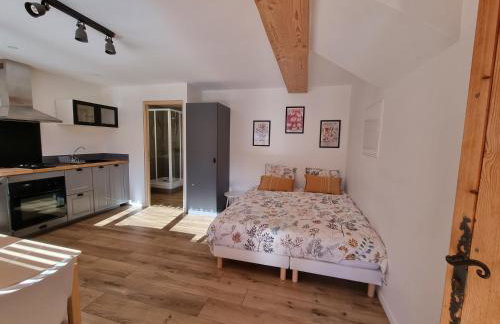 Studio 2 personnes - lumineux - Lac d'Annecy - Foto 5
