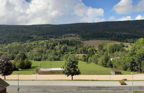 Studio Lélex - pied des pistes - vue montagne - Foto 28