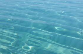 Artistika Golden Apartment - Foto 62