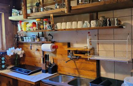 Wilczkiewiczówka - Bieszczadzki Azyl - Photo 28