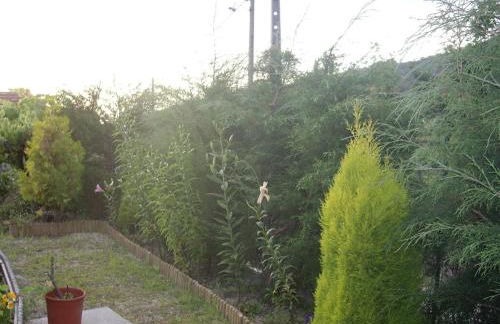 Carneiro Country Houses Casa das Batatas - Photo 14