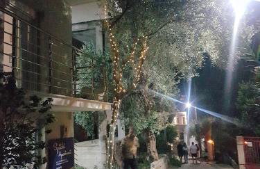 Spitaki Apartments Potos - Photo 3