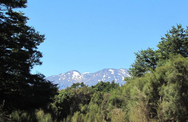 Night Sky Cottage - Foto 27