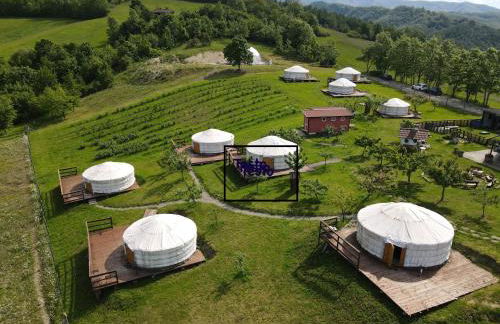 Società Agricola Cacigolara - Photo 1