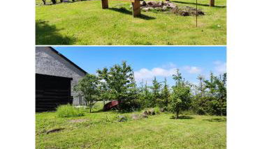 Agroturystyka Szerokopaś - Foto 3, Garden, Garden view