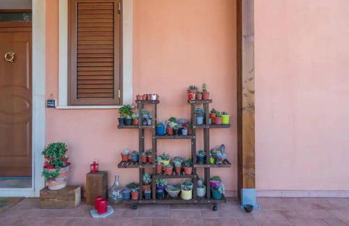 A Ficu Pala - Foto 14