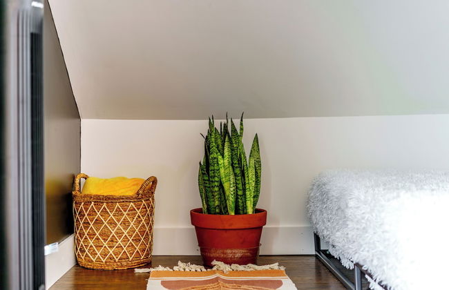 Jungle House Luxury Stays - Downtown Chillicothe - Foto 33