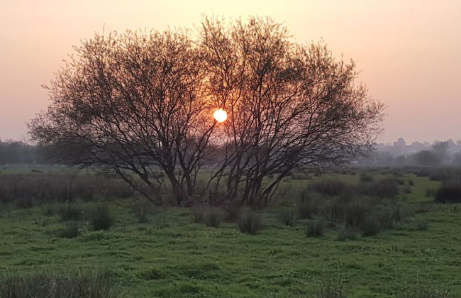 Entre Ciel et Marais - Photo 42