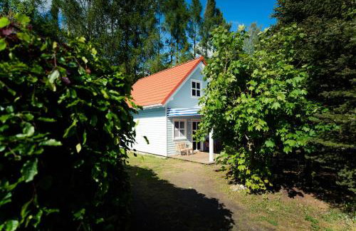 Kwiat Paproci - Foto 34