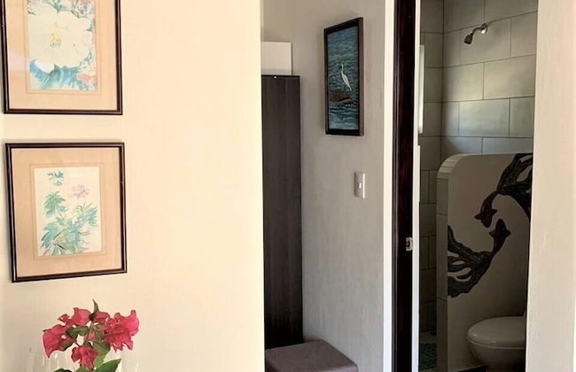 Morning Glory - Foto 38