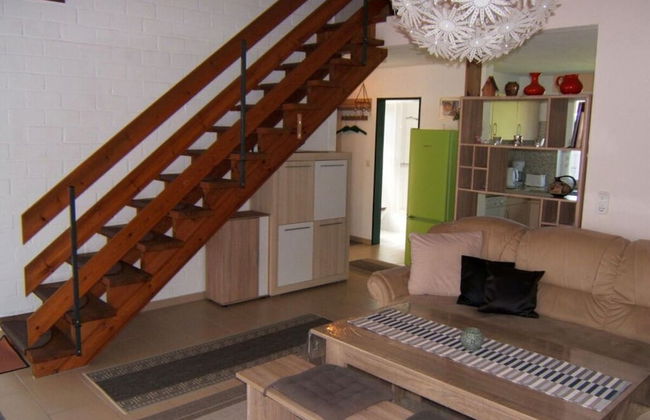 "friesenhorn" 33 Merchant - Foto 10