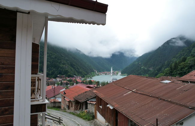 SUIT RABANDO - Photo 16