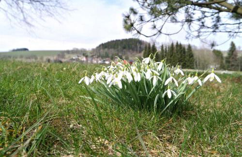 Ferienwohnung Blaumeise - Foto 58