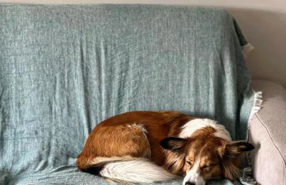 NADBAŁTYCKI ŚWIT - Gdynia Pogórze - Foto 40