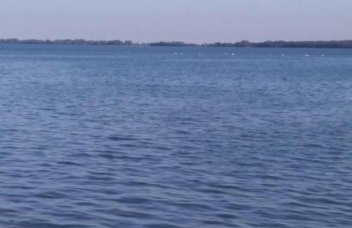 Torine - Capacious Holiday Home in Neorić with Heated Swimming Pool - Foto 67