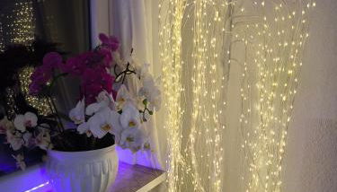 FeWo Goslar Harz - Foto 3