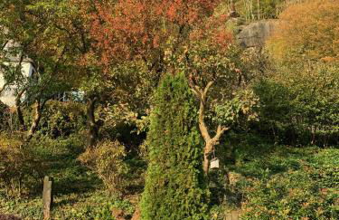 Ferienhaus Elbufer 83 - Foto 93