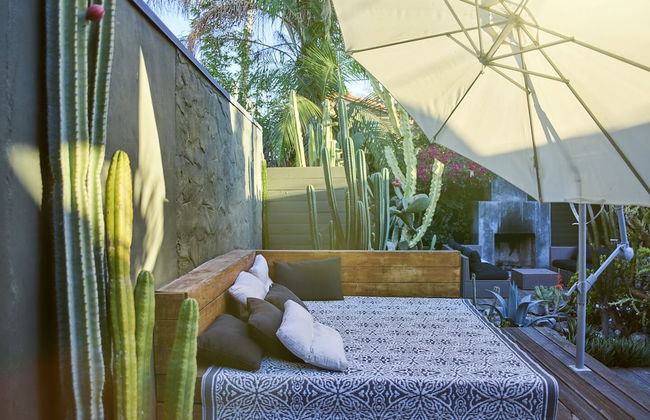 Cactus Flower - Foto 24