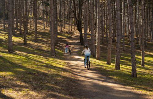 Ferienwohnung in historischer Mühle - Foto 23
